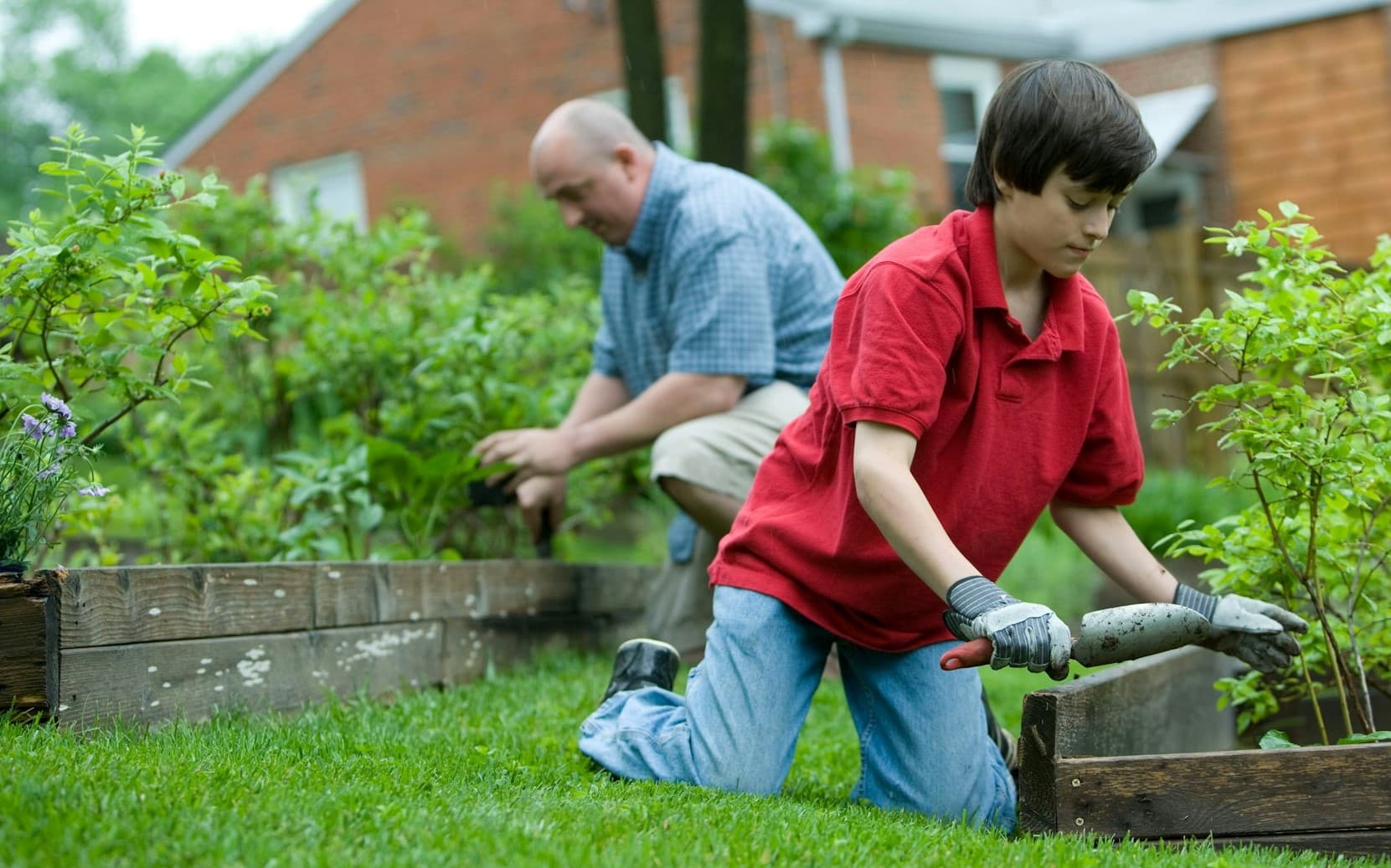father and son gardening